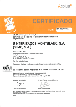 SINTEHIZADOS MONTBLANC, S.A. (SIMO, S.A.) - Ames