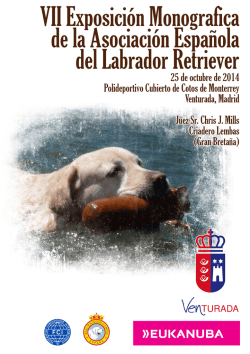 catálogo - Asociación Labrador Retriever