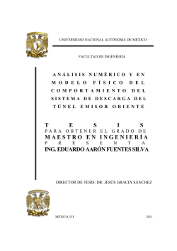 tesis maestro en ingeniería ing. eduardo aarón fuentes silva - UNAM