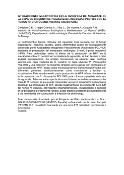 Nuevo Documento de Microsoft Word.pdf