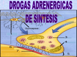 12. Adrenergicos de Sintesis.pdf - Farmacologia Virtual