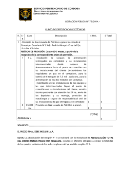 Pliegos de especificaciones y condiciones - Gobierno de la