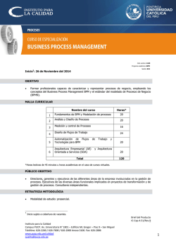 Curso de Especialización Business Process Management - Pucp