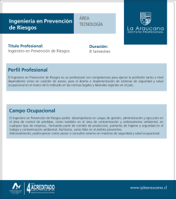 ingenieria en prevencion de riesgo - Instituto Profesional La Araucana