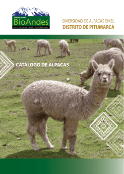 DISTRITO DE PITUMARCA - Agruco