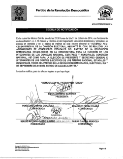Partido de la Revoluci&oacute;n Democr&aacute;tica - PRD