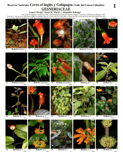 GESNERIACEAE - Field Guides