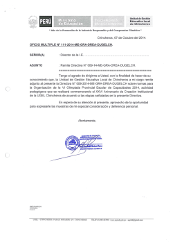 DIRECTIVA OPEC.pdf - Ugel Chincheros