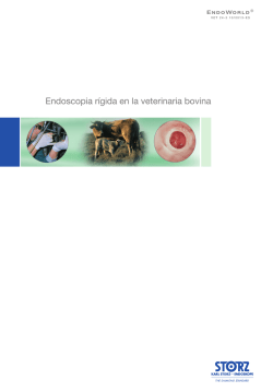 Endoscopia rígida en la veterinaria bovina (PDF | 2.9 MB) - Karl Storz