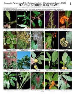 PLANTAS MEDICINALES SHAWI - Field Guides - The Field Museum