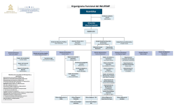Asamblea Organigrama Funcional del INJUPEMP