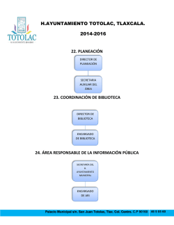 ENLACE ORGANIGRAMA.COMPLETO (estructura orgánica) - Totolac