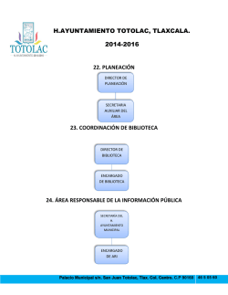 ENLACE ORGANIGRAMA.COMPLETO (estructura org&aacute;nica) - Totolac