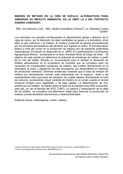 emisión de metano en la cría de búfalo, alternativas para aminorar