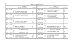 Cancha N&deg; 1 07:00 a 08:00 08:15 a 09:15 09:30 a 10:30 10:45 a 11