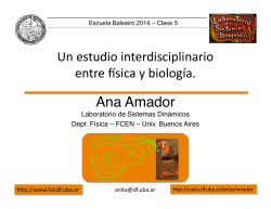 Ana Amador