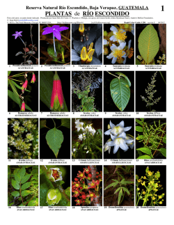 Plantas de Río Escondido, Baja Verapaz - Guatemala - Field Guides