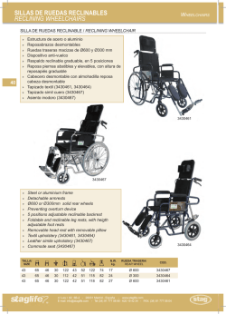 banner sillas de ruedas - STAG