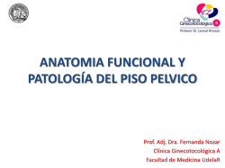 ANATOMIA FUNCIONAL Y PATOLOGÍA DEL PISO PELVICO