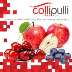 producing fresh fruit from the south of chile for - Huertos Collipulli