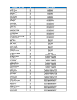 NOMBRES Y APELLIDOS IP DIRECCI&Oacute;N/AREA - Consejo Nacional