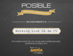 Working Link SA de CV