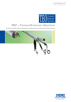 TEO® – Transanal Endoscopic Operations. El mejor - Karl Storz