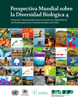 Perspectiva Mundial sobre la Diversidad Biológica 4