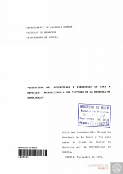 ESTRUCTURA DEL MESENCEFALO Y DIENCEFALO EN - tdx.cat