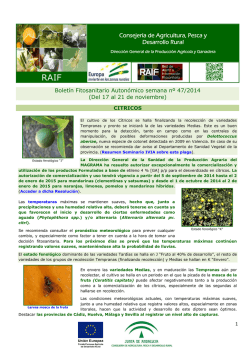 Consejería de Agricultura, Pesca y Desarrollo Rural - Junta de