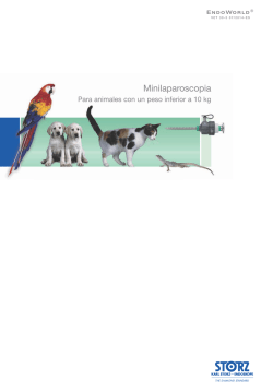 Minilaparoscopia - Para animales de menos de 10 kg - Karl Storz