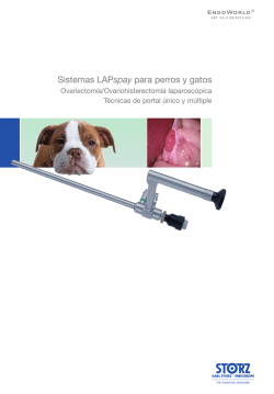 Sistemas LAPspay para perros y gatos. Ovariectomía - Karl Storz