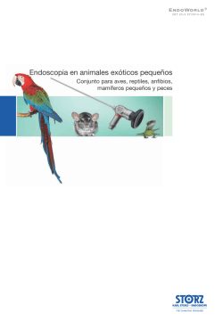 Endoscopia en animales exóticos pequeños - Conjunto para aves