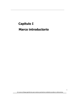 Capítulo I Marco introductorio - UNAM