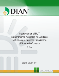 Saldo a Favor en V 2.0 - Dian