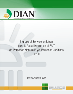 Saldo a Favor en V 2.0 - Dian