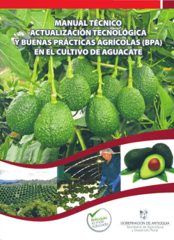 Manual Actualizacion Tecnologica y BPA Cultivo de