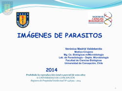 Diapositiva 1 - REPOSITORIO UdeC - Universidad de Concepción