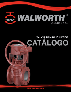 V&Aacute;LVULAS MACHO DE HIERRO MODELO CORTO CLASE 200 CWP