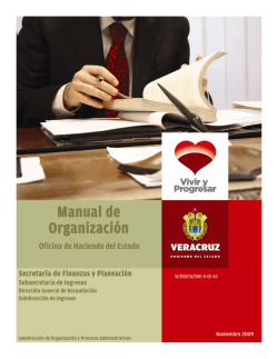 Manual de Organizaci&oacute;n - Gobierno del Estado de Veracruz