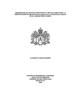 DESCRIPCION DE TECNICAS FENOTIPICAS Y MOLECULARES