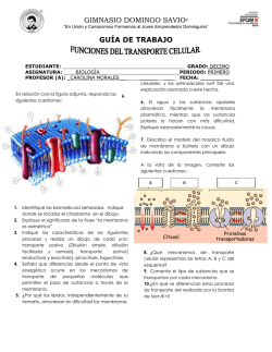 Descarga