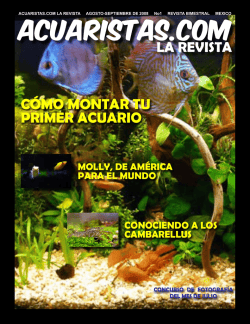 C&Oacute;MO MONTAR TU PRIMER ACUARIO - Break Out Here