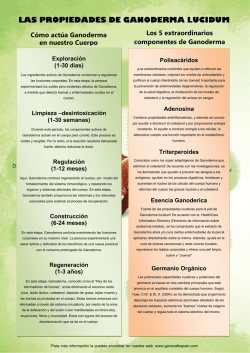 C&oacute;mo act&uacute;a Ganoderma en nuestro Cuerpo