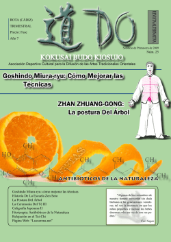 Goshindo Miura-ryu: C&oacute;mo Mejorar las T&eacute;cnicas - kokusai budo