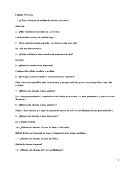 Sistema Nervioso. 1.− ¿Cómo se llaman las células del sistema