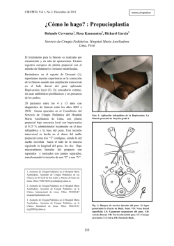 &iquest;C&oacute;mo lo hago? : Prepucioplastia - CIRUPED Revista de Cirug&iacute;a