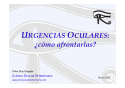 URGENCIAS OCULARES URGENCIAS OCULARES: &iquest;c&oacute;mo