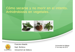 Cómo secarse y no morir en el intento. Anhidrobiosis en vegetales.