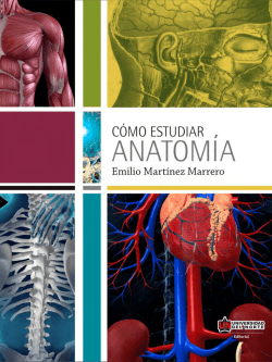 Cómo estudiar anatomía - Universidad del Norte